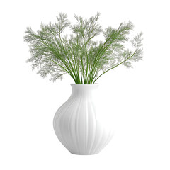 Dill herb in a white vase on transparent background