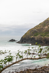 Pacific Ocean from Second Beach, Dunedin, New Zealand
