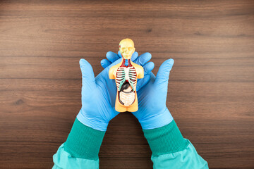 A doctor reviews an anatomical model during a routine appointment, illustrating concepts of...