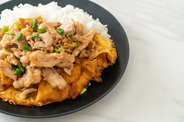 stir-fried pork with garlic and egg topped on rice