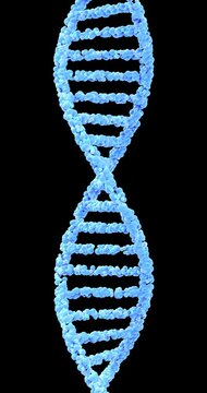 DNA Helix Animation, Futuristic Blue Molecular Structure. Repeatable footage with alpha channel by 3d rendering. Vertical video.