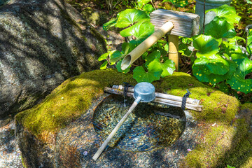 苔むした手水鉢と清らかな水