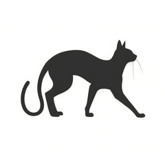 Obraz premium Black Cat Silhouette Walking Side View