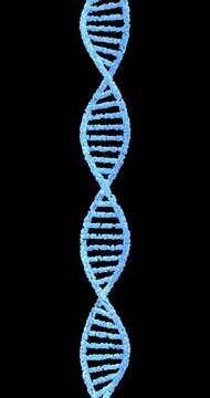 DNA Helix Animation, Futuristic Blue Molecular Structure. Repeatable footage with alpha channel by 3d rendering. Vertical video.