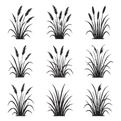Collection of wild grass and bush silhouettes in black, featuring various natural shapes and leaf arrangements. Perfect for nature-themed design.