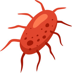 Salmonella Bacterium Illustration

