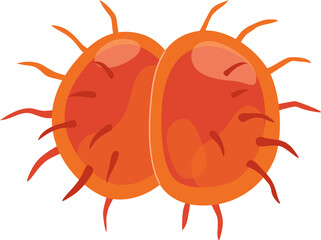 Meningococcal Virus Illustration

