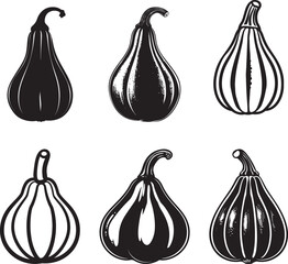 Set of Squash icon