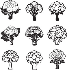 Naklejka premium Set of Cauliflower icon clean simple silhouette
