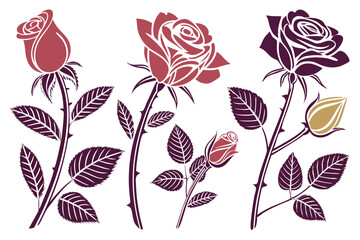 set of Rose vector silhouette illustration isolated on white background
