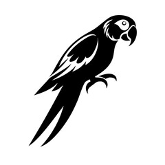 Flat style parrot vector icon with vibrant feathers, ideal for logos, apps, or educational content.