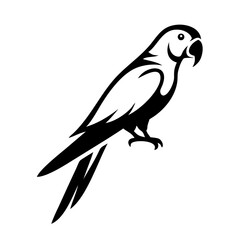 parrot  Black and white vector illustration 