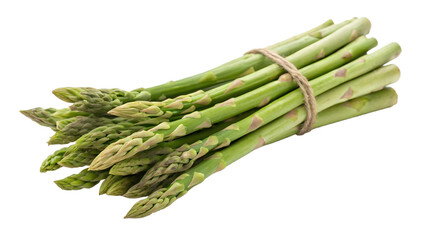 Asparagus bunch tied with twine isolated on transparent background