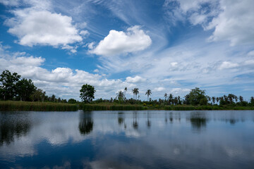 Rural Lakeside View with Beautiful Cloud Reflections.