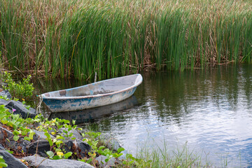 An old ship is anchored beside the reeds