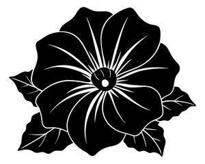 Fototapeta premium Petunia vector silhouette illustration isolated on white background