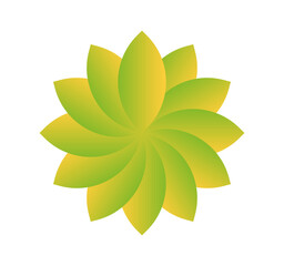 abstract flower icon vector 
