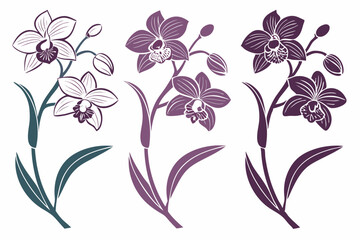 set of Orchid vector silhouette illustration isolated on white background