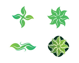 Tree leaf vector logo design, eco-friendly concept.