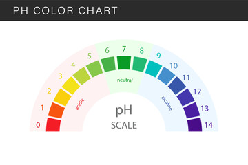 PH Scale. Gauge for acid and alkaline balance. Scale indicator for litmus paper test. Flat Vector illustration.