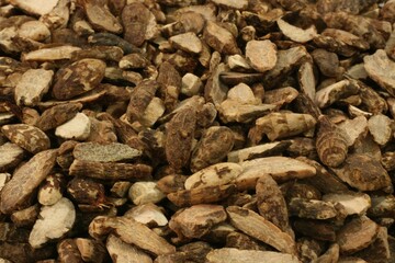 Cyperi Rhizoma (Xiangfu) – Dried Nutgrass Rhizomes Used in Korean Herbal Medicine
