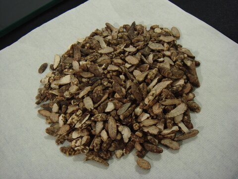 Cyperi Rhizoma (Xiangfu) Dried Nutgrass Rhizomes Used in Korean Herbal Medicine