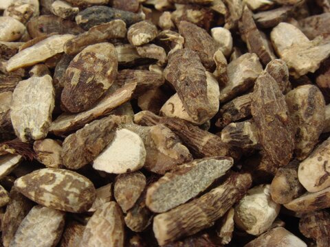 Cyperi Rhizoma (Xiangfu) Dried Nutgrass Rhizomes Used in Korean Herbal Medicine