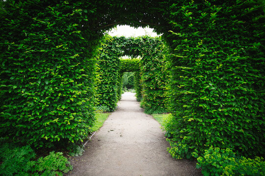 The green gates