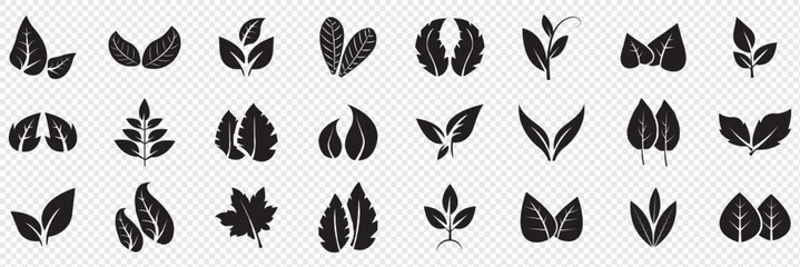 Leaf icons set, tropical leaves set, palm leaves silhouettes isolated, green leafs, environment and nature eco sign