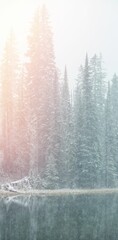 Snow covered pine trees on lakeside © vectorfusionart