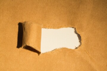 Directly above shot of torn paper