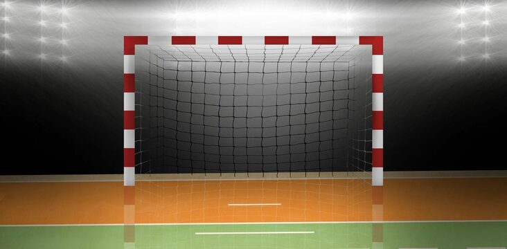 Digital image of handball goal