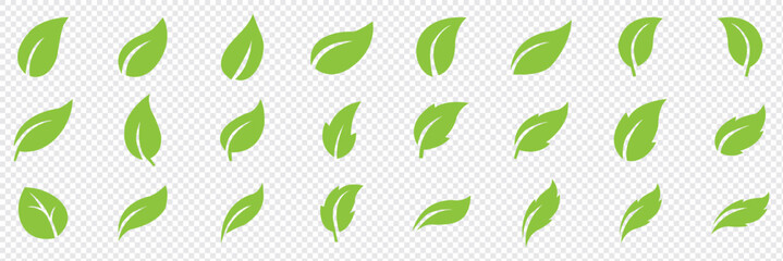 Green leaf icons set. Leaves icon on isolated background. Collection green leaf. Elements design for natural, eco, vegan, bio labels. Vector illustration EPS 10