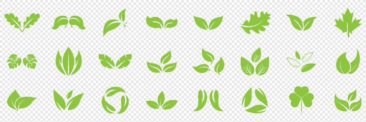 Green leaf icons set. Leaves icon on isolated background. Collection green leaf. Elements design for natural, eco, vegan, bio labels. Vector illustration EPS 10