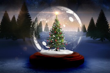 Christmas tree in snow globe © vectorfusionart
