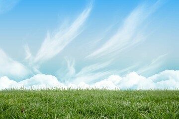 Grass field is stretching across flat design meadow, with cumulus and cirrus clouds in blue sky