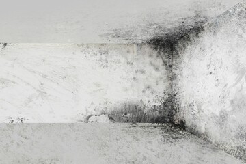 Concrete corner is showing peeling white paint and mold stains on floor surfaces in flat design