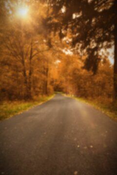 Fototapeta Road amidst trees during autumn