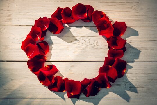 Fototapeta Circular shape frame made from rose petals