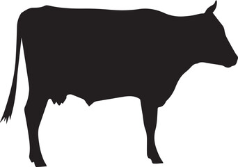 Cow silhouette 