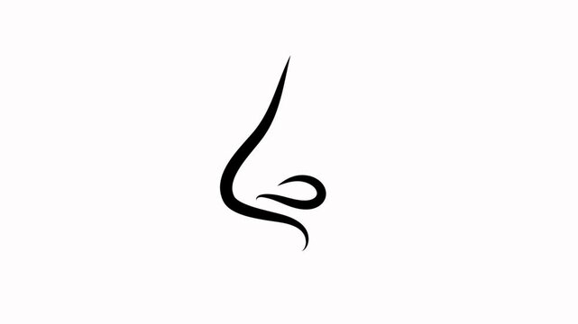nose  icon animation  illustration 