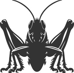 Grasshopper black clip art silhouette graphic drawing isolated animal illustration