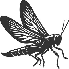 Obraz premium Grasshopper black clip art silhouette graphic drawing isolated animal illustration