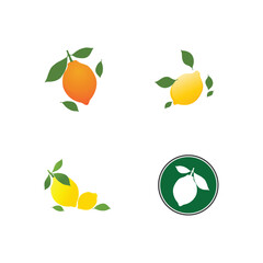 Stylized orange logo vector symbol juice design