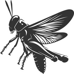 Grasshopper black clip art silhouette graphic drawing isolated animal illustration