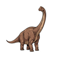 brontosaurus dinosaur vector illustration on white background © Wiwit