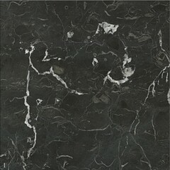 Elegant Dark Stone Texture with White Veins and Natural Inclusions	