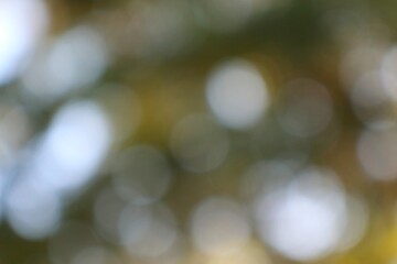 Abstract Light Bursts and Muted Tones Creating a Dreamy Atmosphere