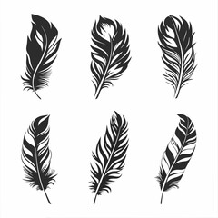 Obraz premium Set of colorful feather vectors for art and decoration