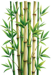 vector of vertical bamboo stems with green nodes and realistic leaves, slight bending, isolated on white background
